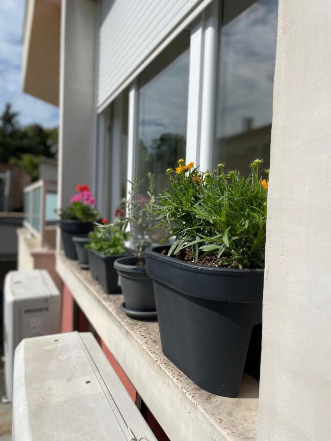 Charming Beach Holiday Apartment Lozenets Exteriör bild